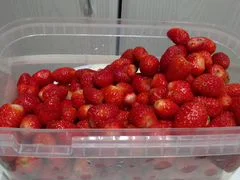 Клубника с собственной дачи - миниатюра 3