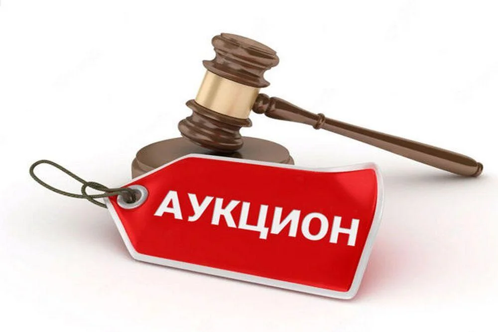 Подготовка, подача документов для участия в торгах - изображение 1