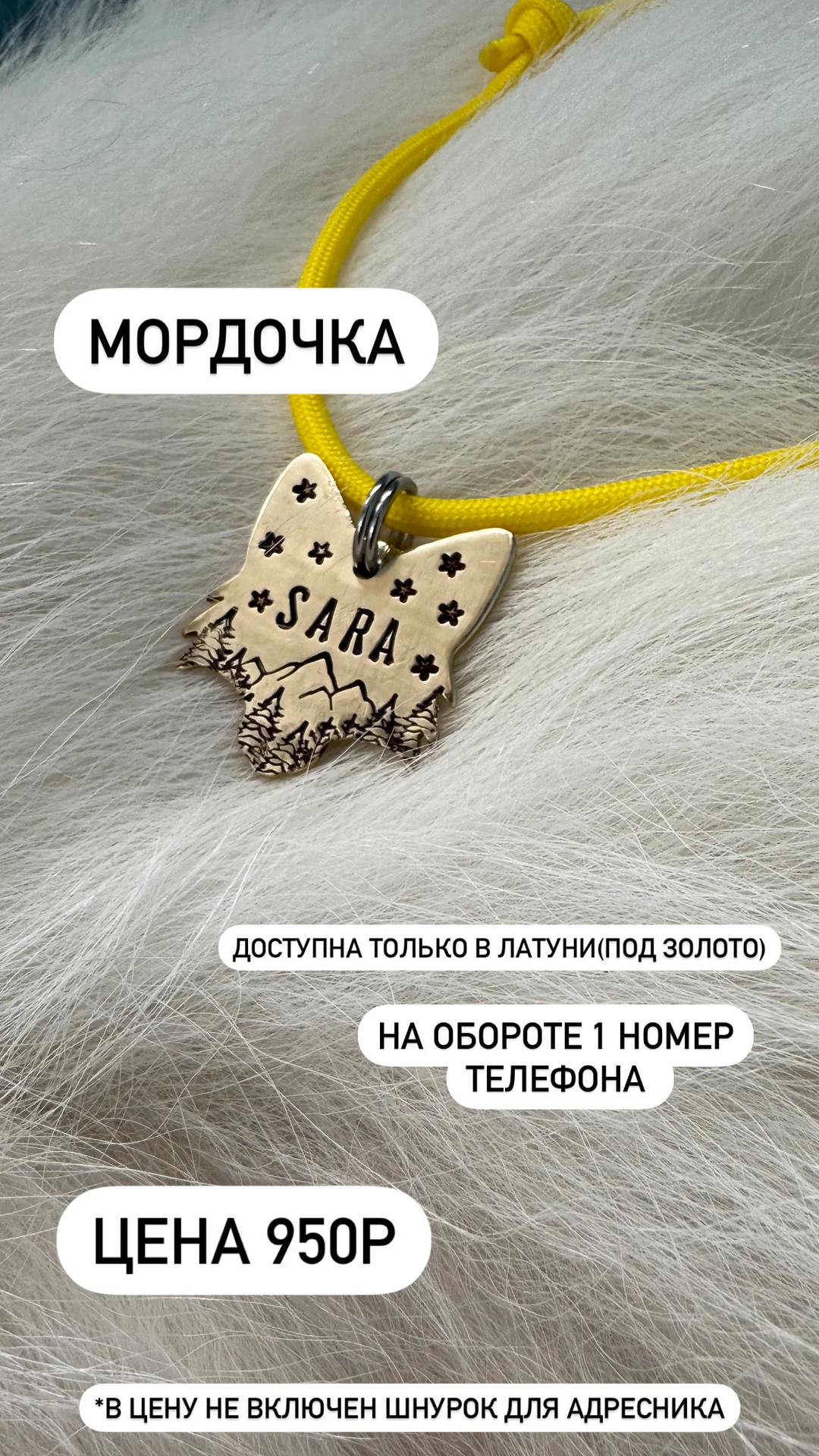Адресники для животных - миниатюра 8