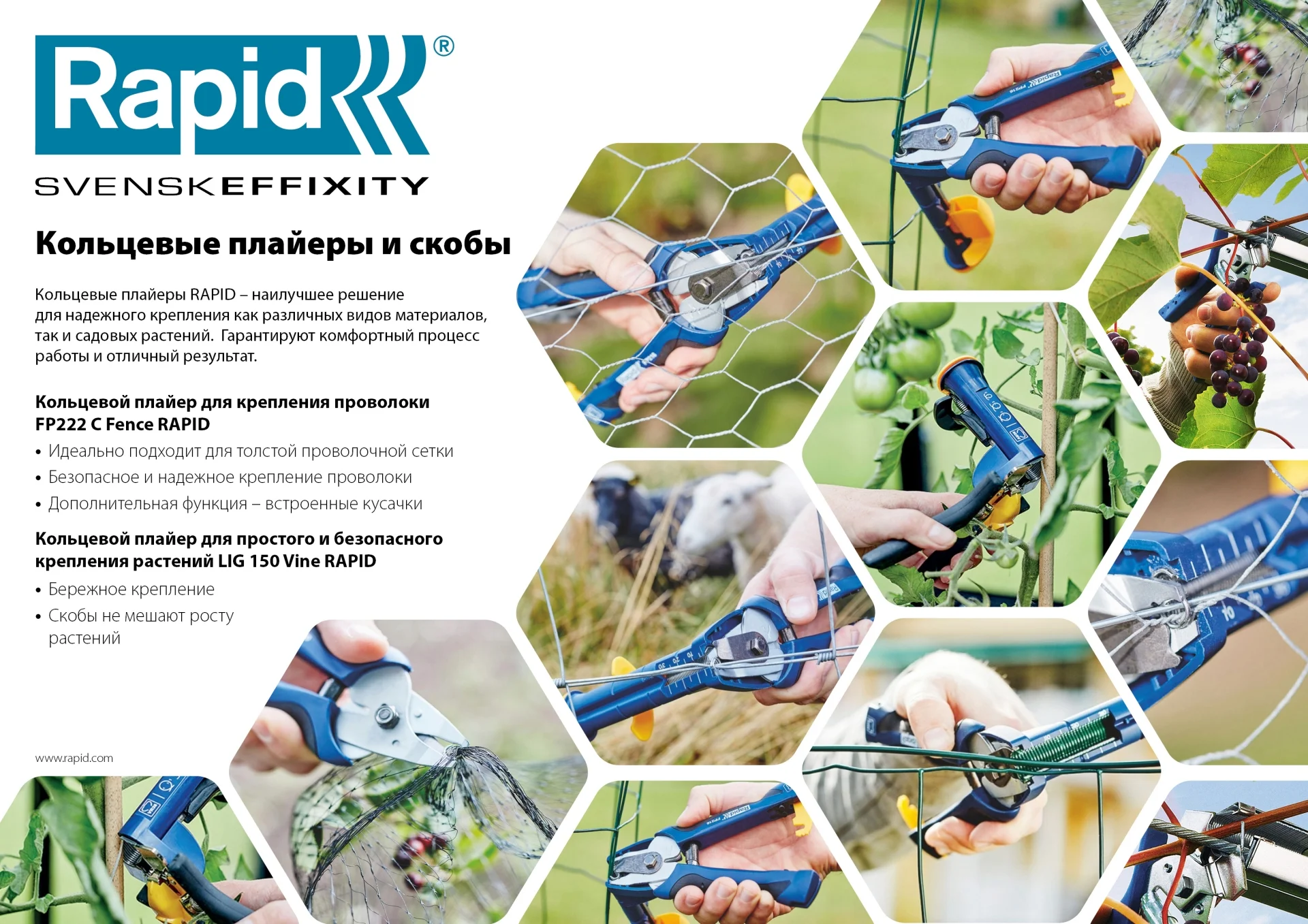 RAPID R:Plier LIG 150 Vine, профессиональный кольцевой плайер для травмобезопасного крепления растен - миниатюра 3