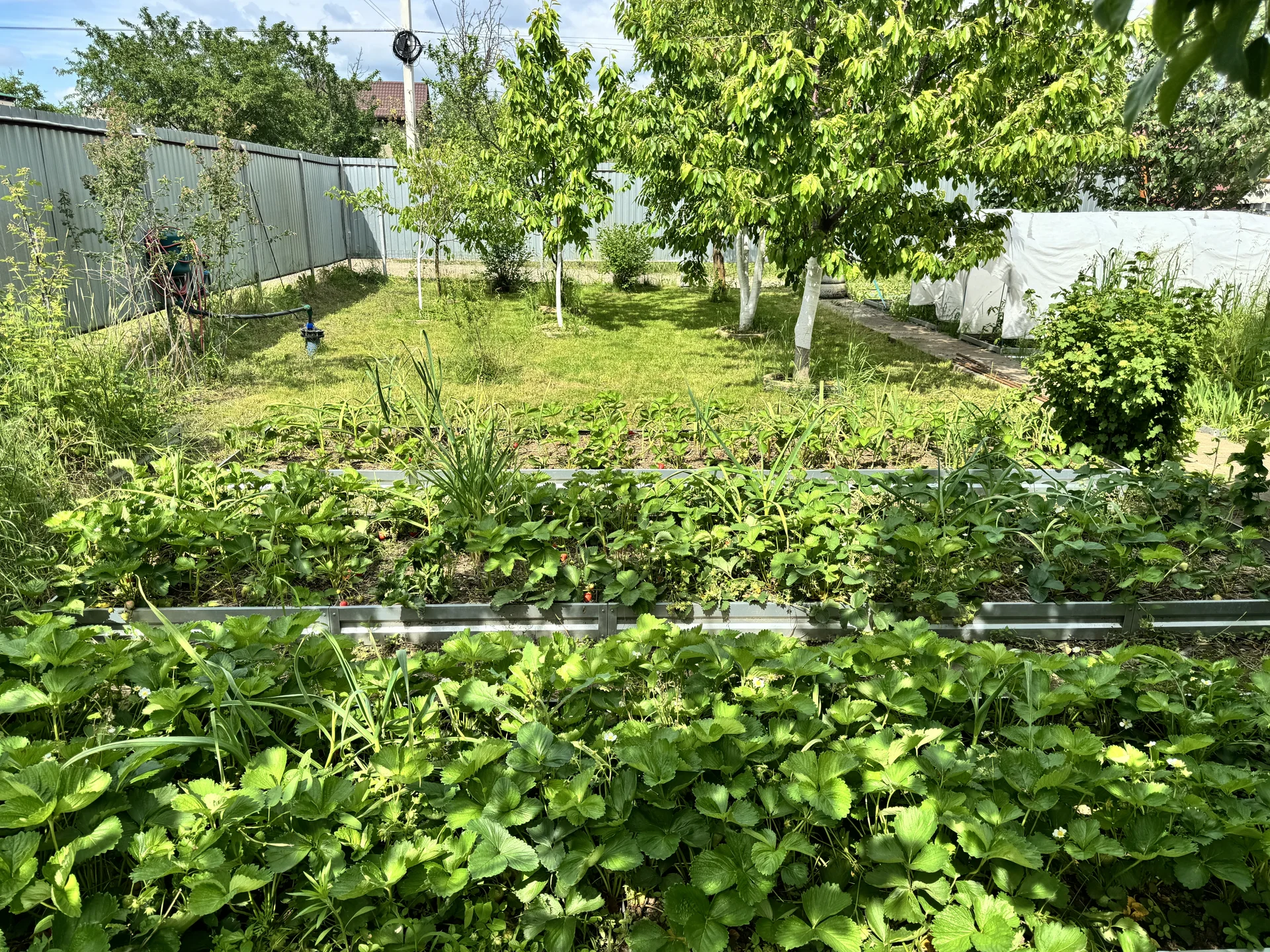 Продам земельный участок ИЖС 12 соток с домом - миниатюра 22