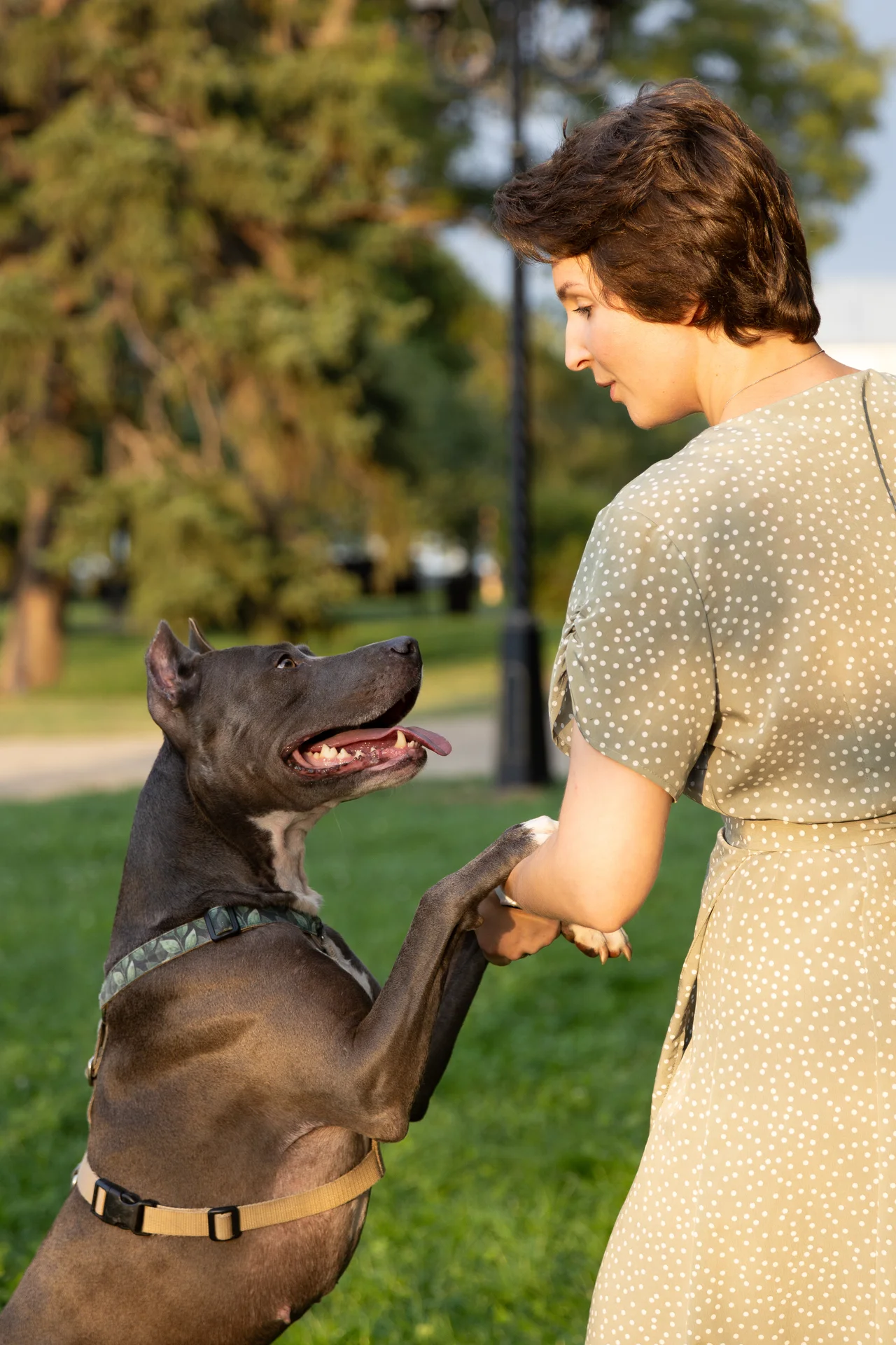 Кинолог. Специалист по коррекции поведения собак - миниатюра 3