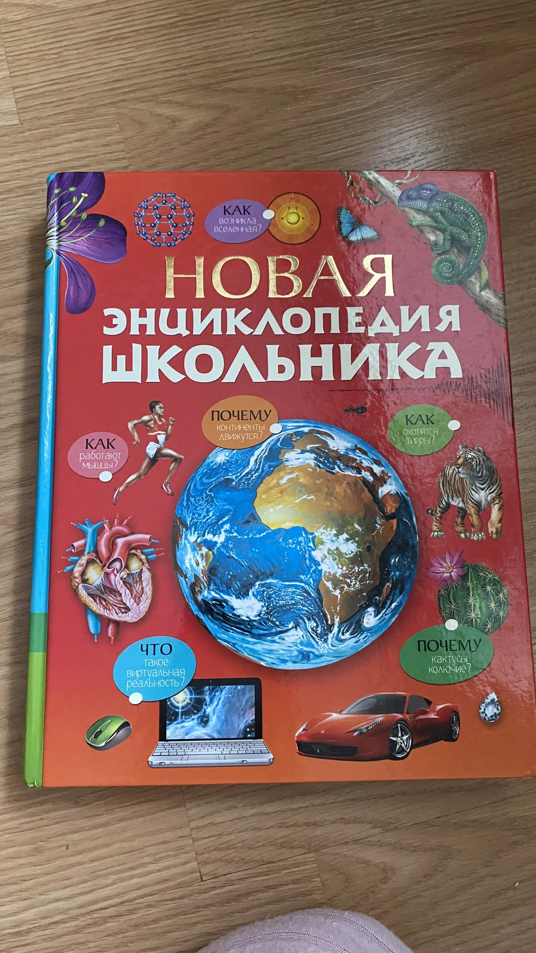 Энциклопедия - изображение 1