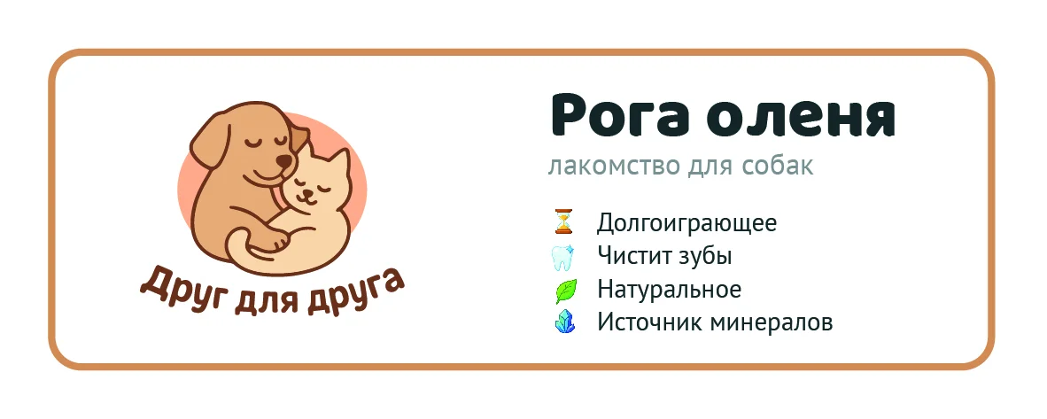Натуральное лакомство - миниатюра 3