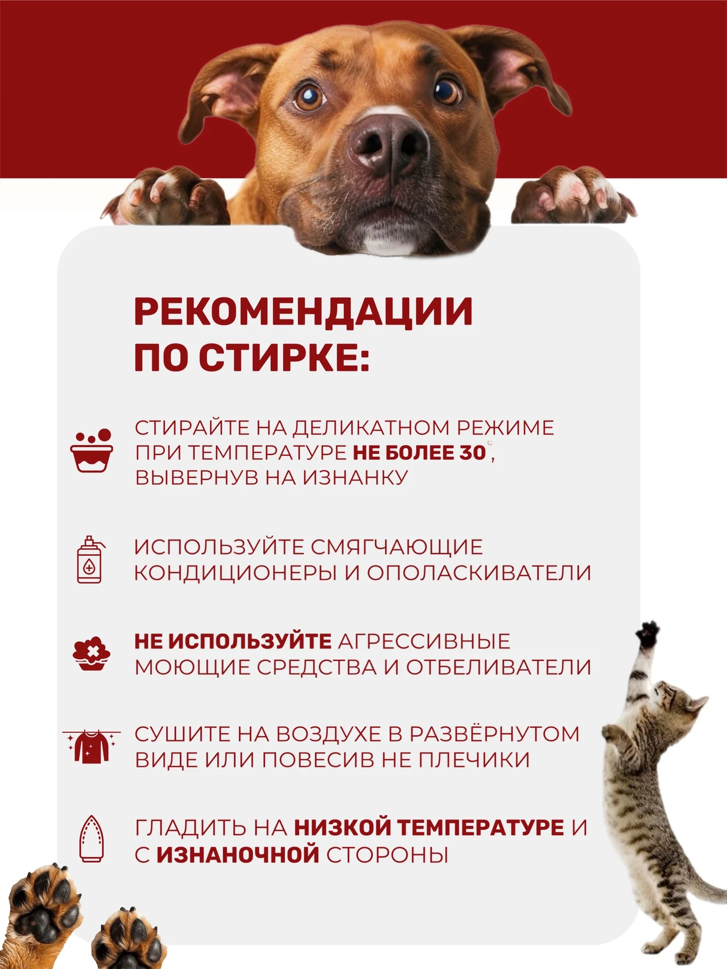 Смешная футболка для сфинкса хлопковая - миниатюра 3