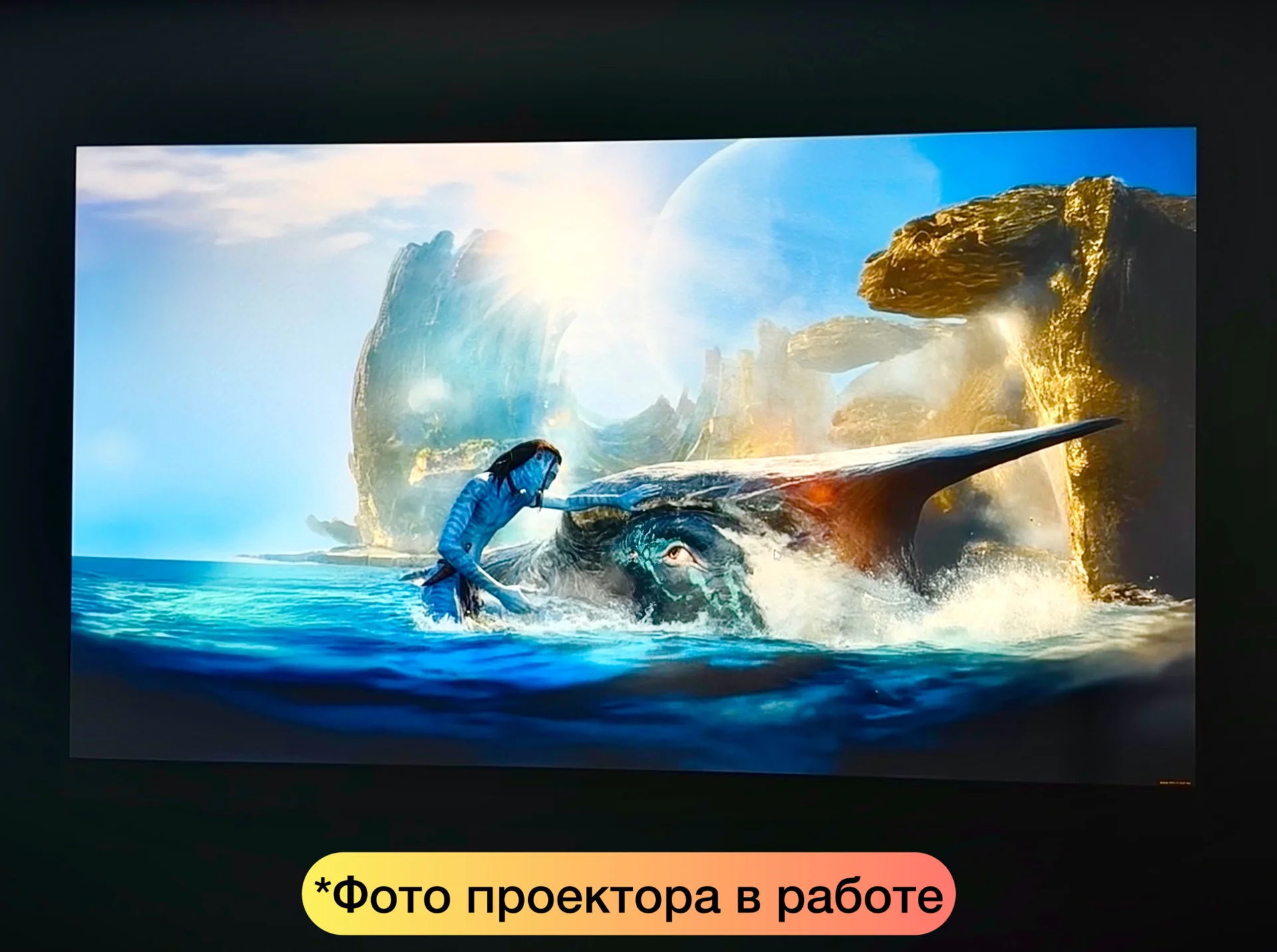 Аренда проектора 5000 ANSI + экран для мероприятий - миниатюра 3