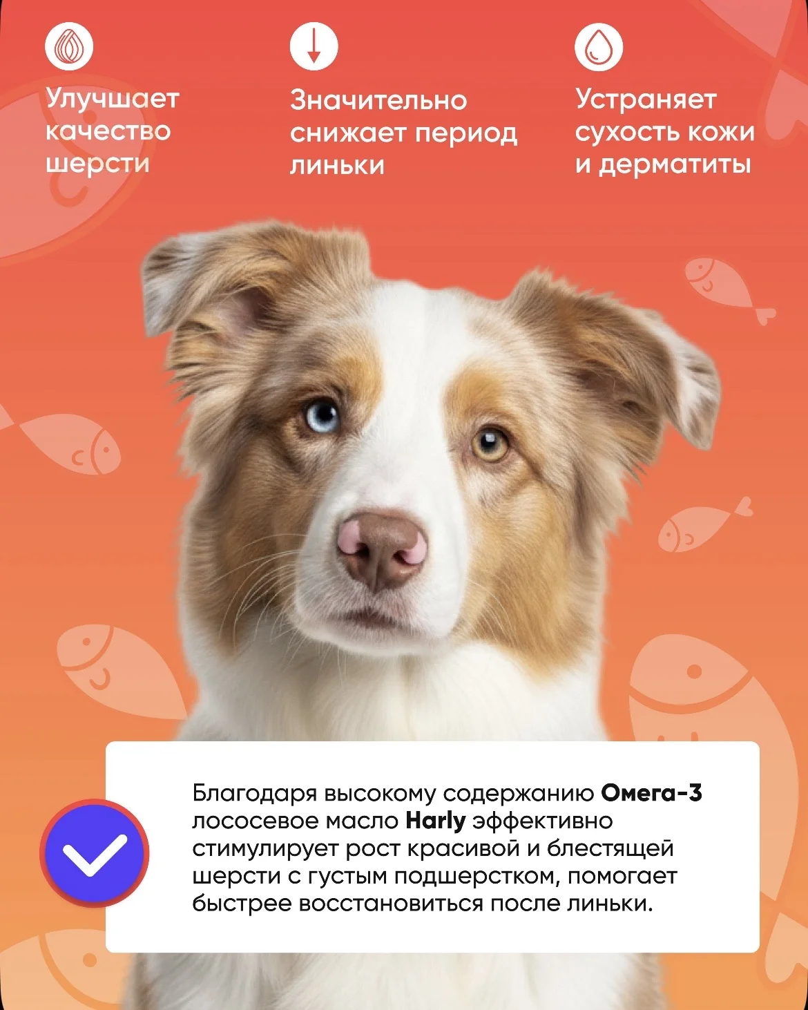 Лососевое масло для собак и кошек Harly 250 мл - миниатюра 2