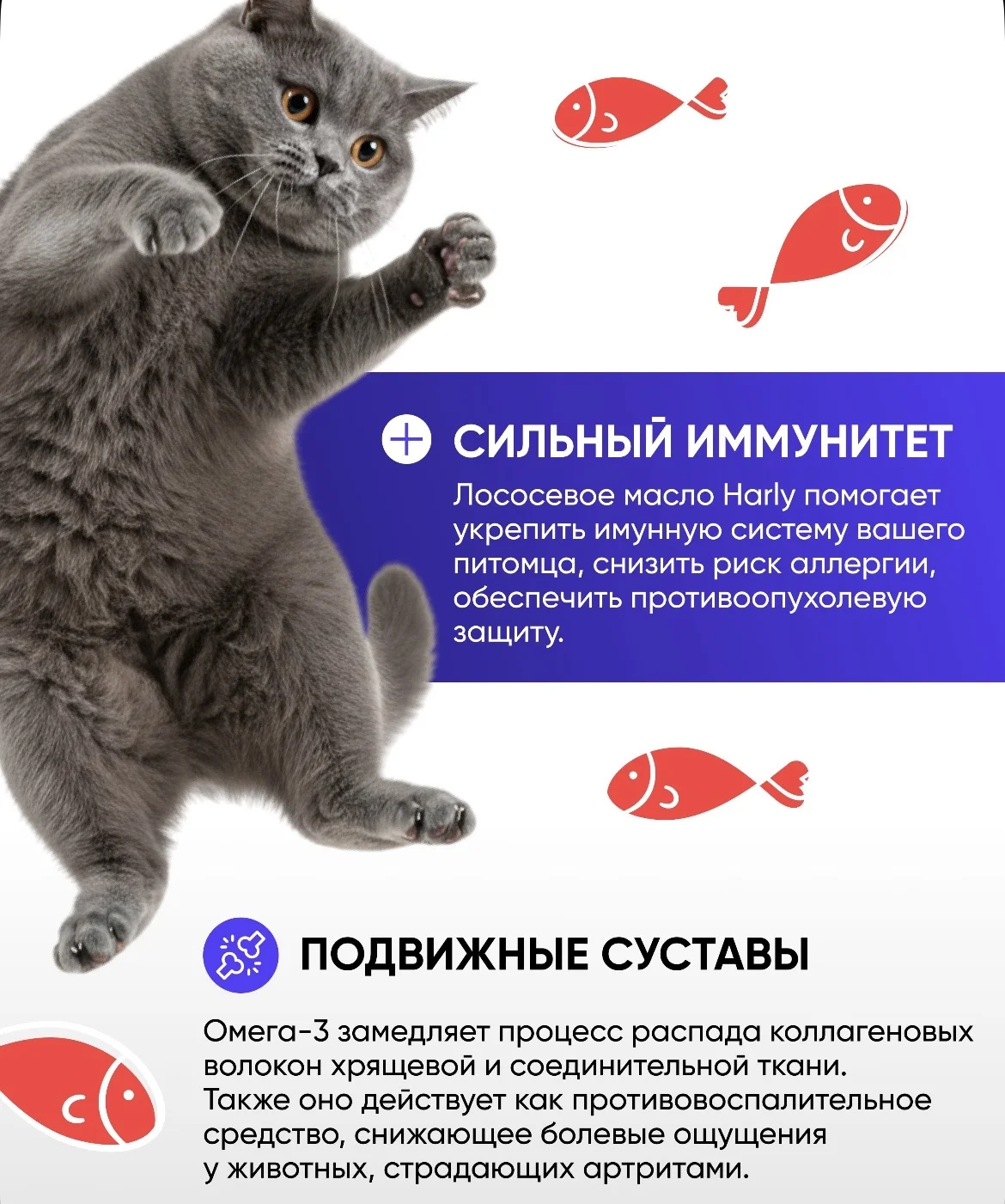 Лососевое масло для собак и кошек Harly 250 мл - миниатюра 4