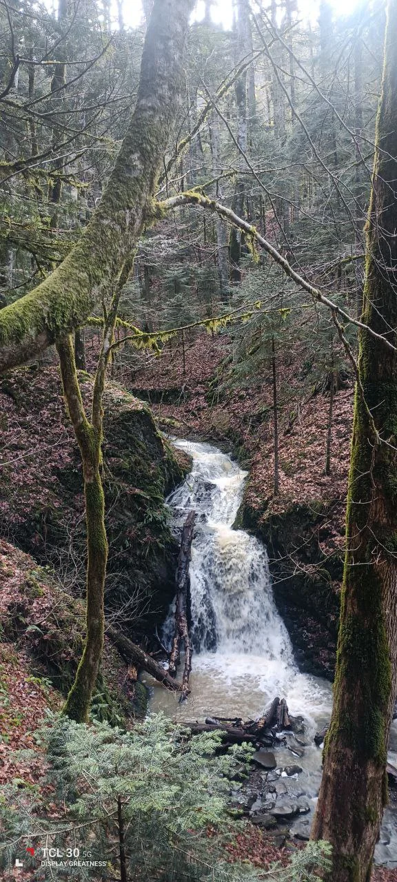 Походы и поездки в горы Республики Адыгея - миниатюра 34