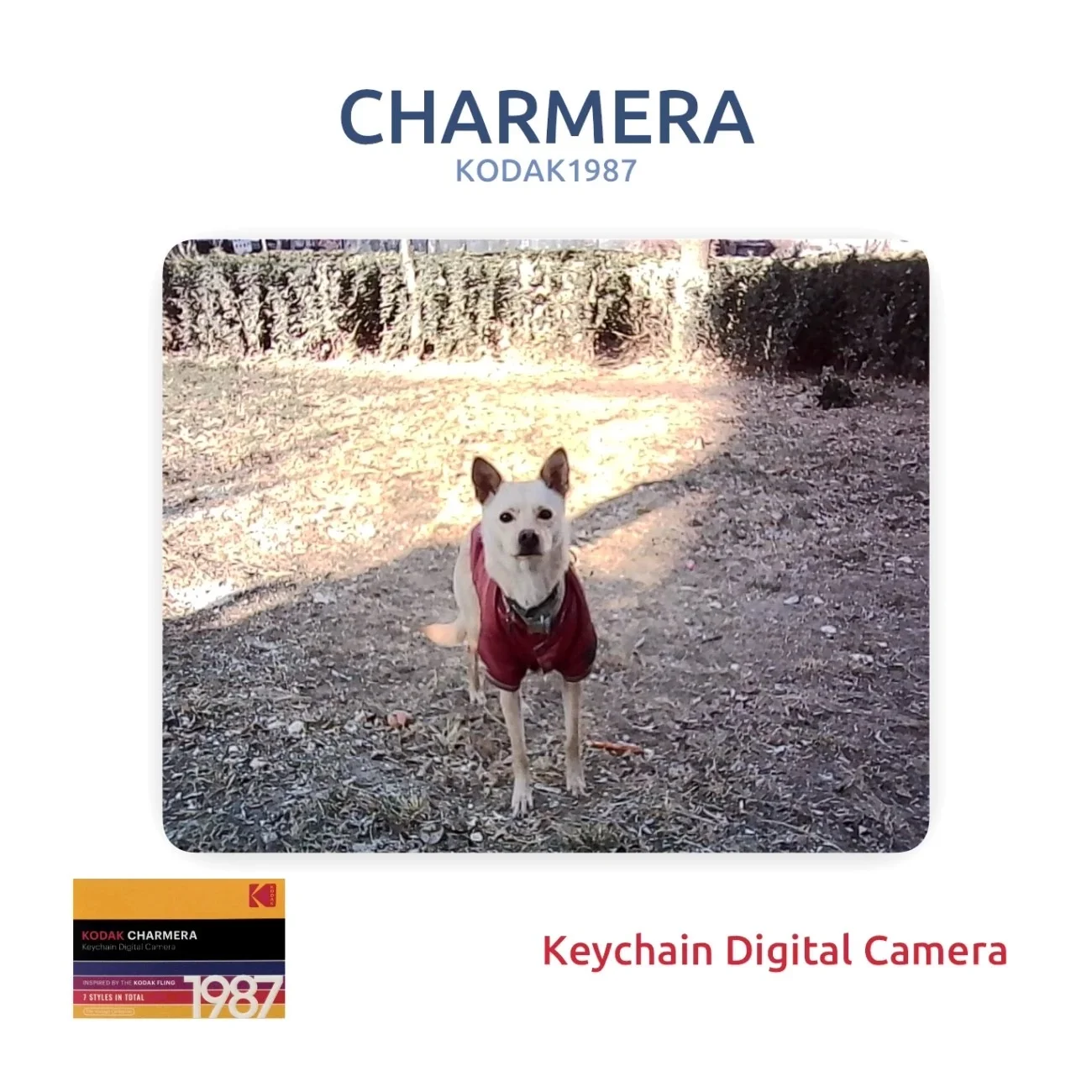Кодак Kodak charmera 1987 - миниатюра 4