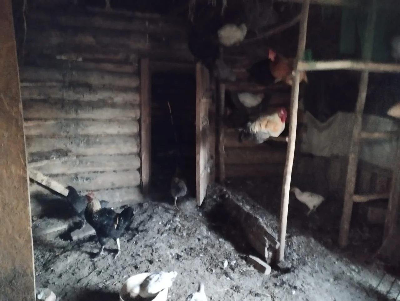 Продаю участок с домом - миниатюра 8