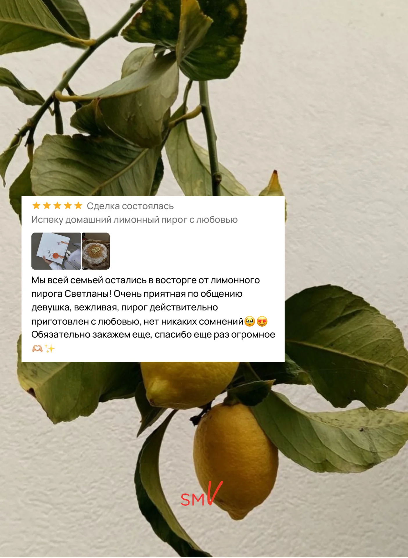 Испеку домашний лимонник с любовью - миниатюра 4