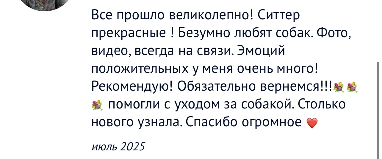 Зооняня - миниатюра 2
