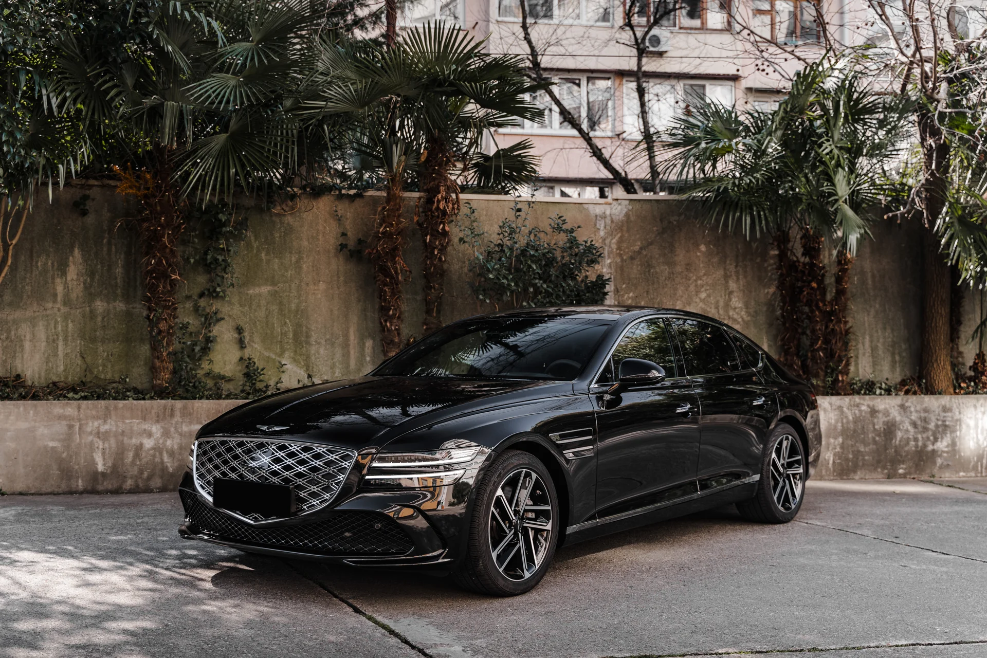 Genesis G80 Full - миниатюра 2