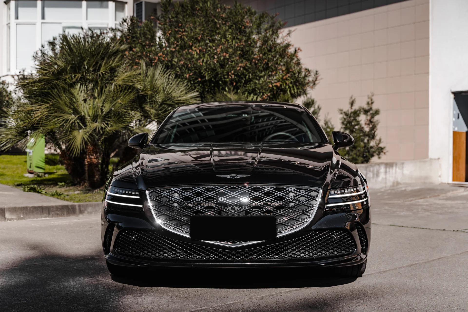 Genesis G80 Full - миниатюра 3