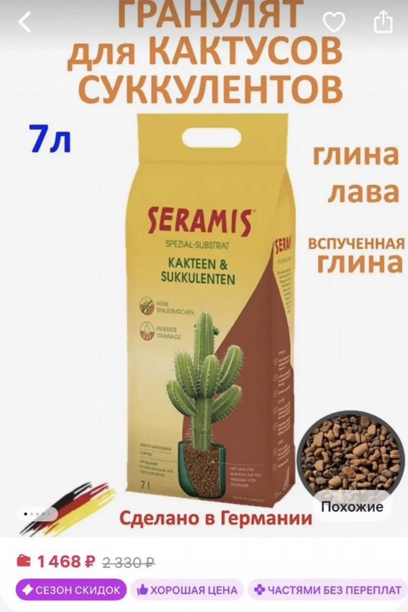 Замиокулькас 102 см 14 лет - миниатюра 6
