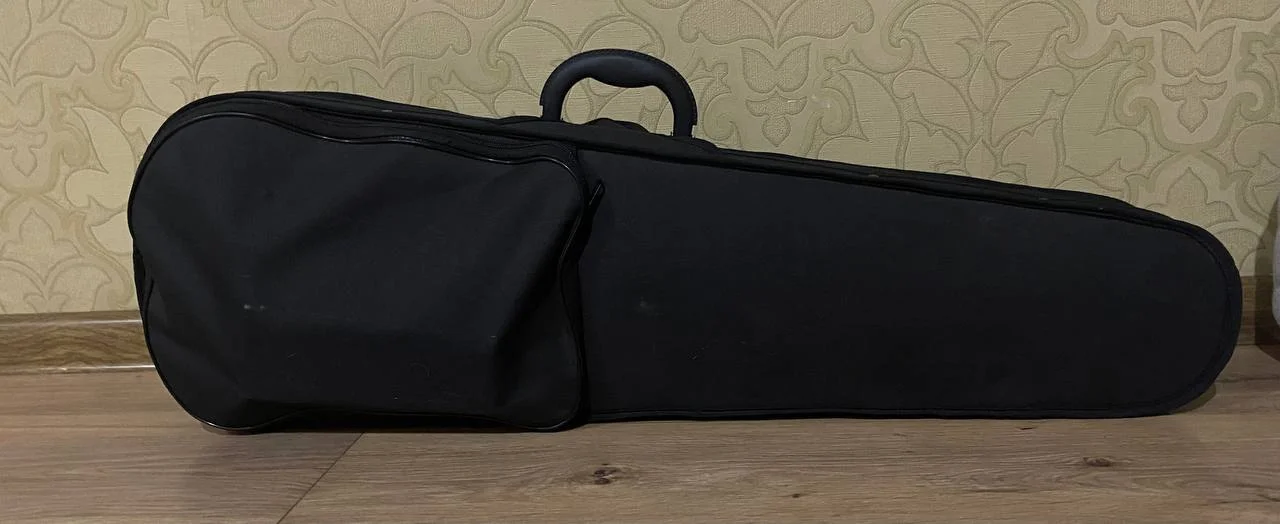 Скрипка FLT-VP 4/4 (Набор для начинающих играть на скрипке) - миниатюра 2