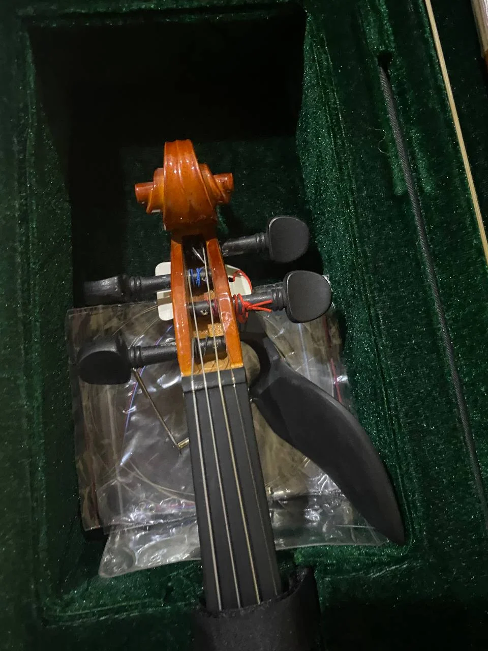 Скрипка FLT-VP 4/4 (Набор для начинающих играть на скрипке) - миниатюра 6