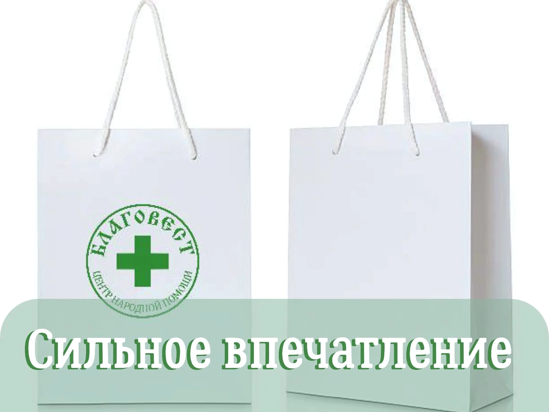 Печать Пакетов с логотипом в Москве за 7 дней - миниатюра 18