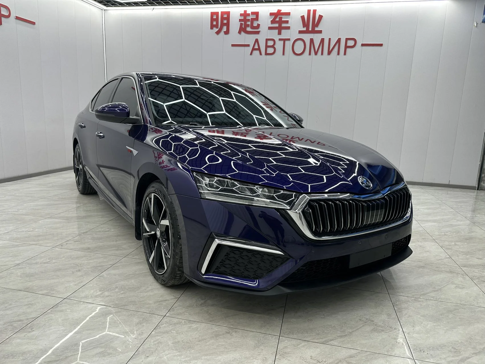 Skoda Octavia Pro - миниатюра 2