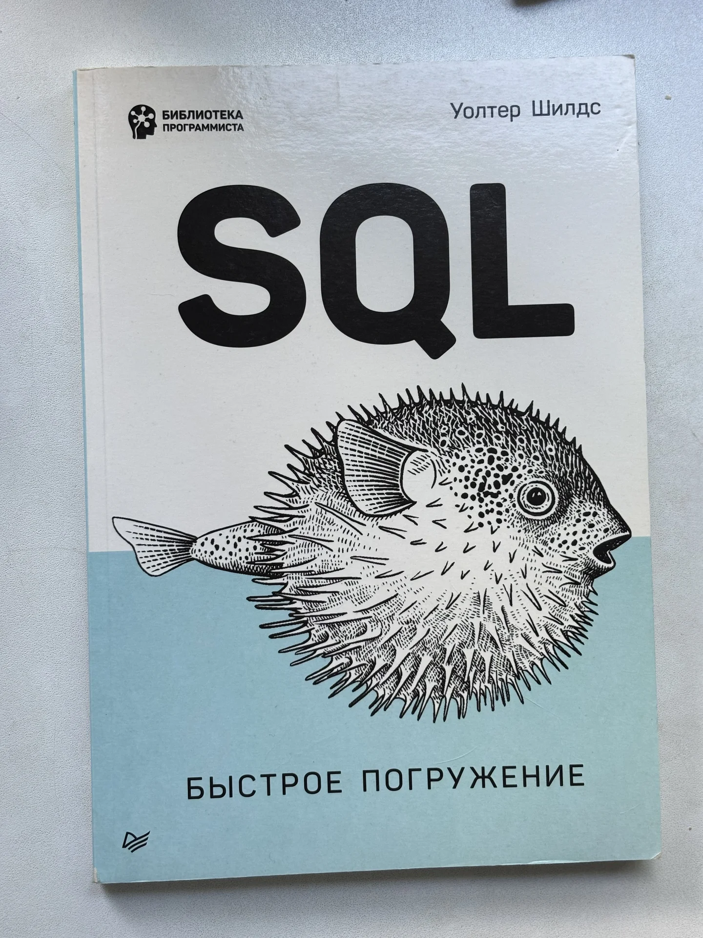 Книга SQL: быстрое погружение. Шилдс Уолтер - изображение 1