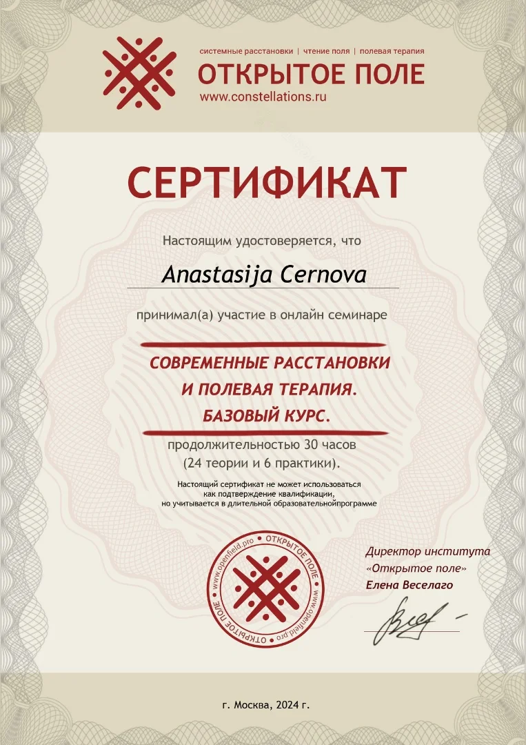 Глубинный психолог Расстановки Шаманские практики - миниатюра 9