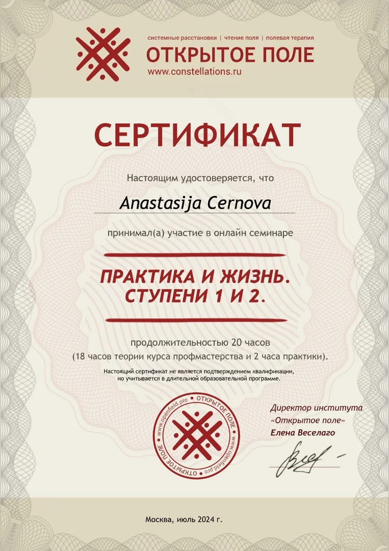 Глубинный психолог Расстановки Шаманские практики - миниатюра 11