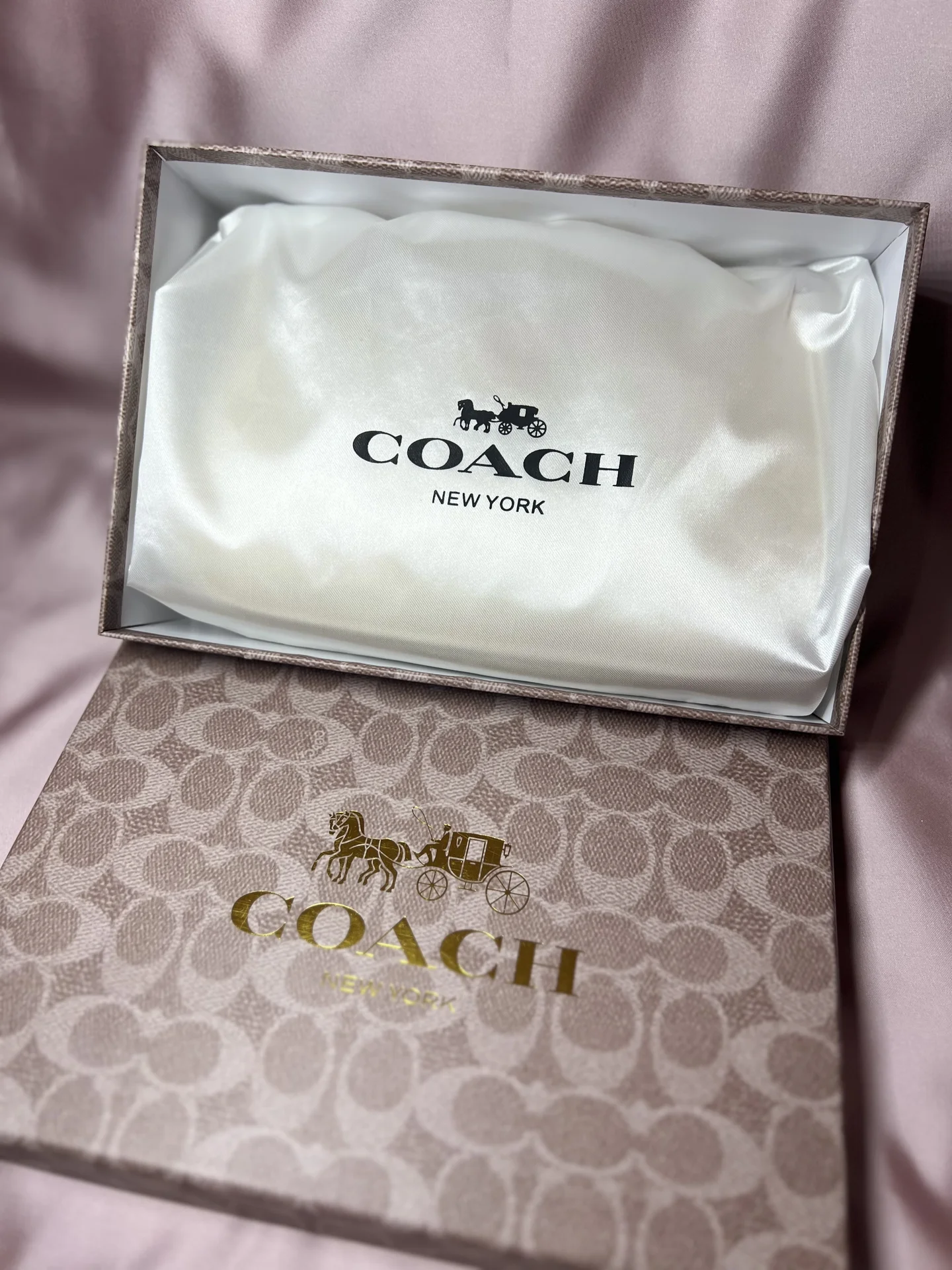Сумка Coach Teri - миниатюра 2