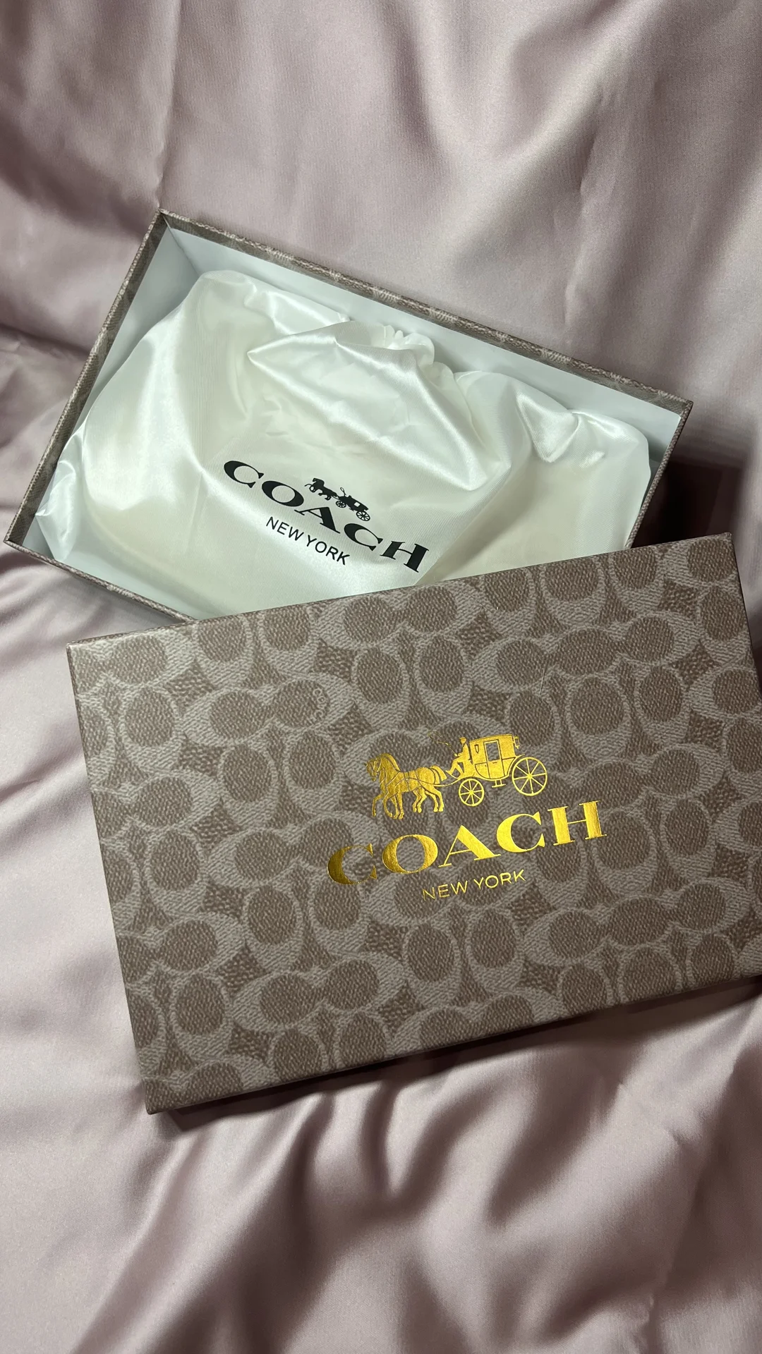 Сумка Coach Teri - миниатюра 4