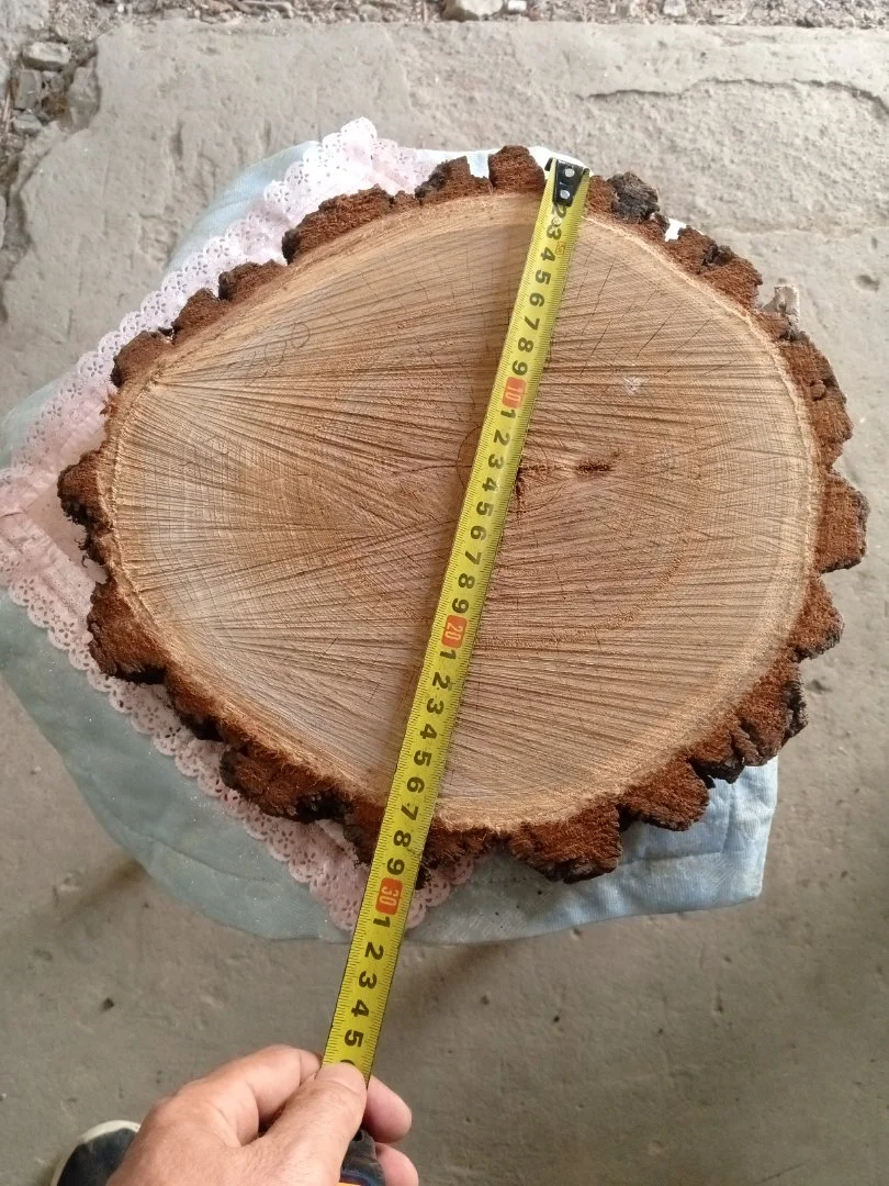 Торцевой спил - миниатюра 4