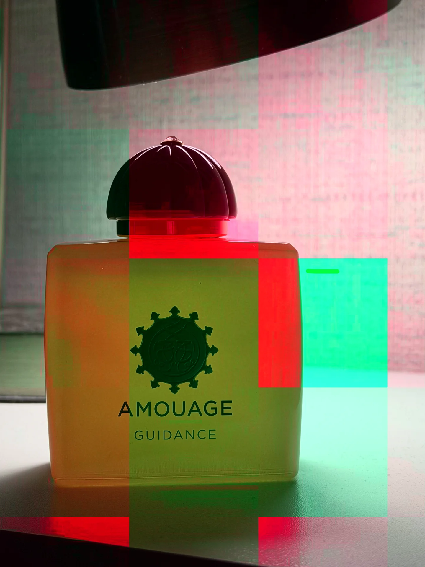 Amouge guidance - миниатюра 2
