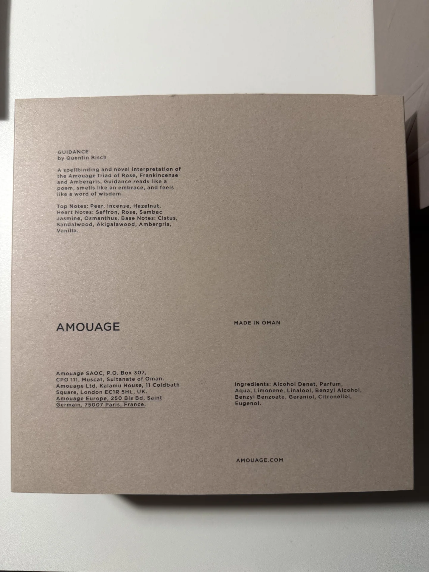 Amouge guidance - миниатюра 6