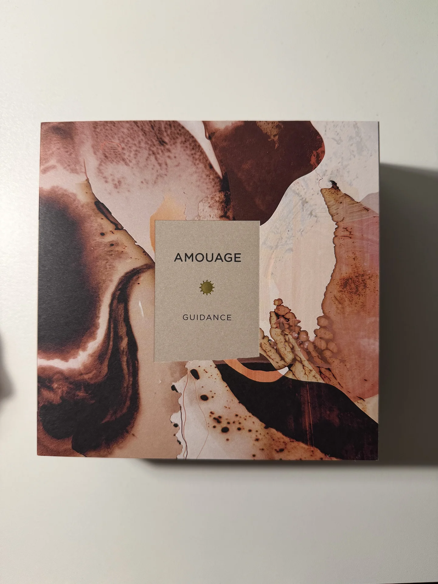 Amouge guidance - миниатюра 8