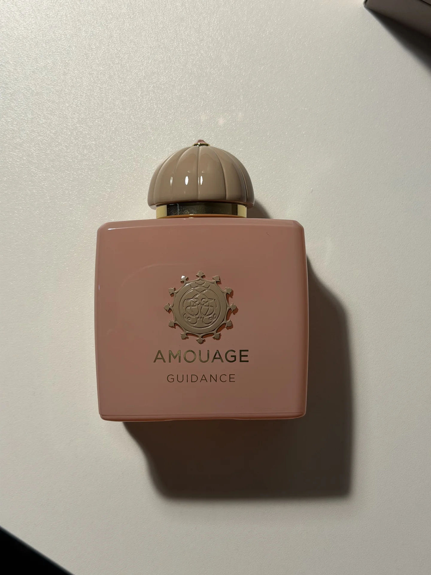 Amouge guidance - миниатюра 9