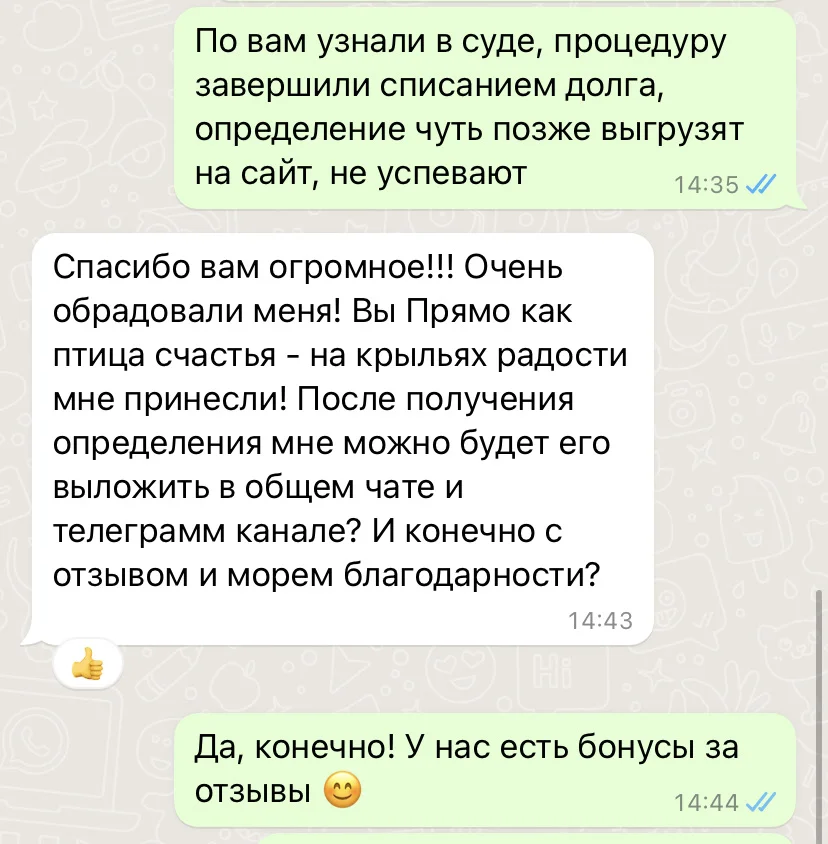 Банкротство физ. лиц - миниатюра 10
