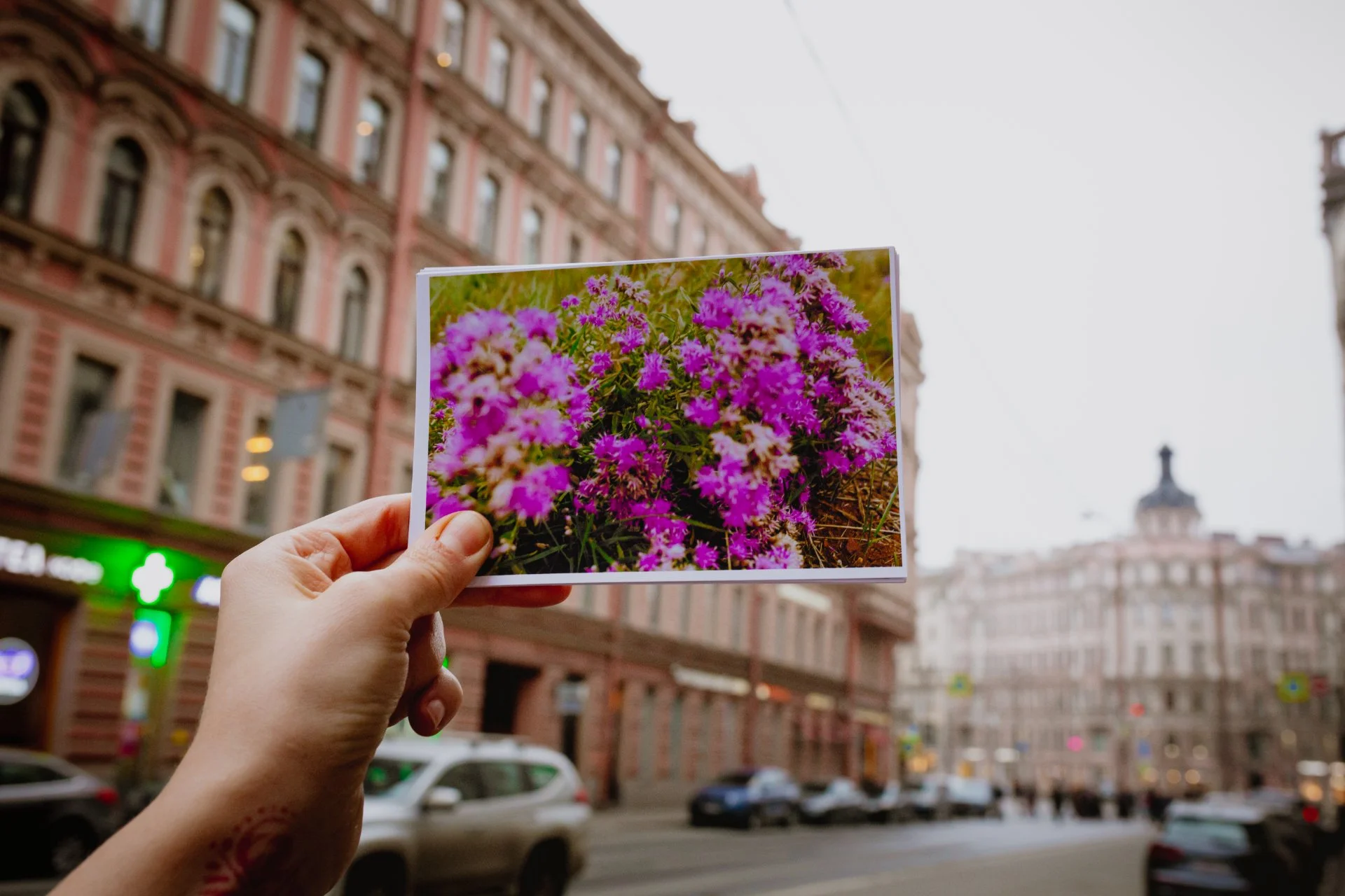 авторские открытки с фотографиями Байкала и Алтая - миниатюра 20