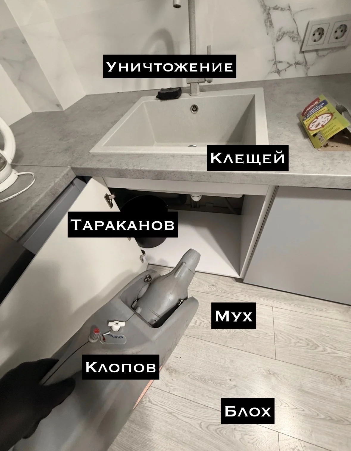 Уничтожить насекомых - миниатюра 2