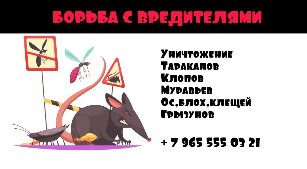 Уничтожить клещей борщевик ос - изображение 1