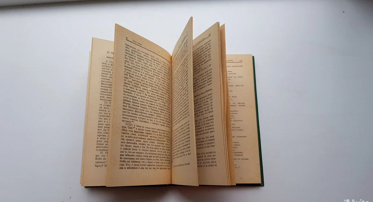 Книга Цицерон - миниатюра 7