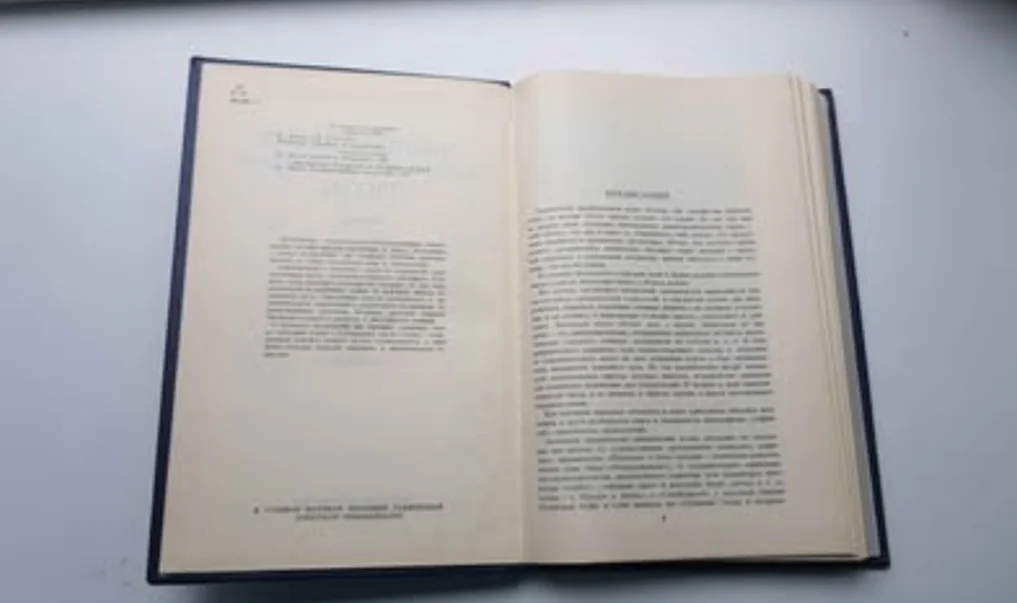 Книга Персидско-Таджикской прозы. - миниатюра 4