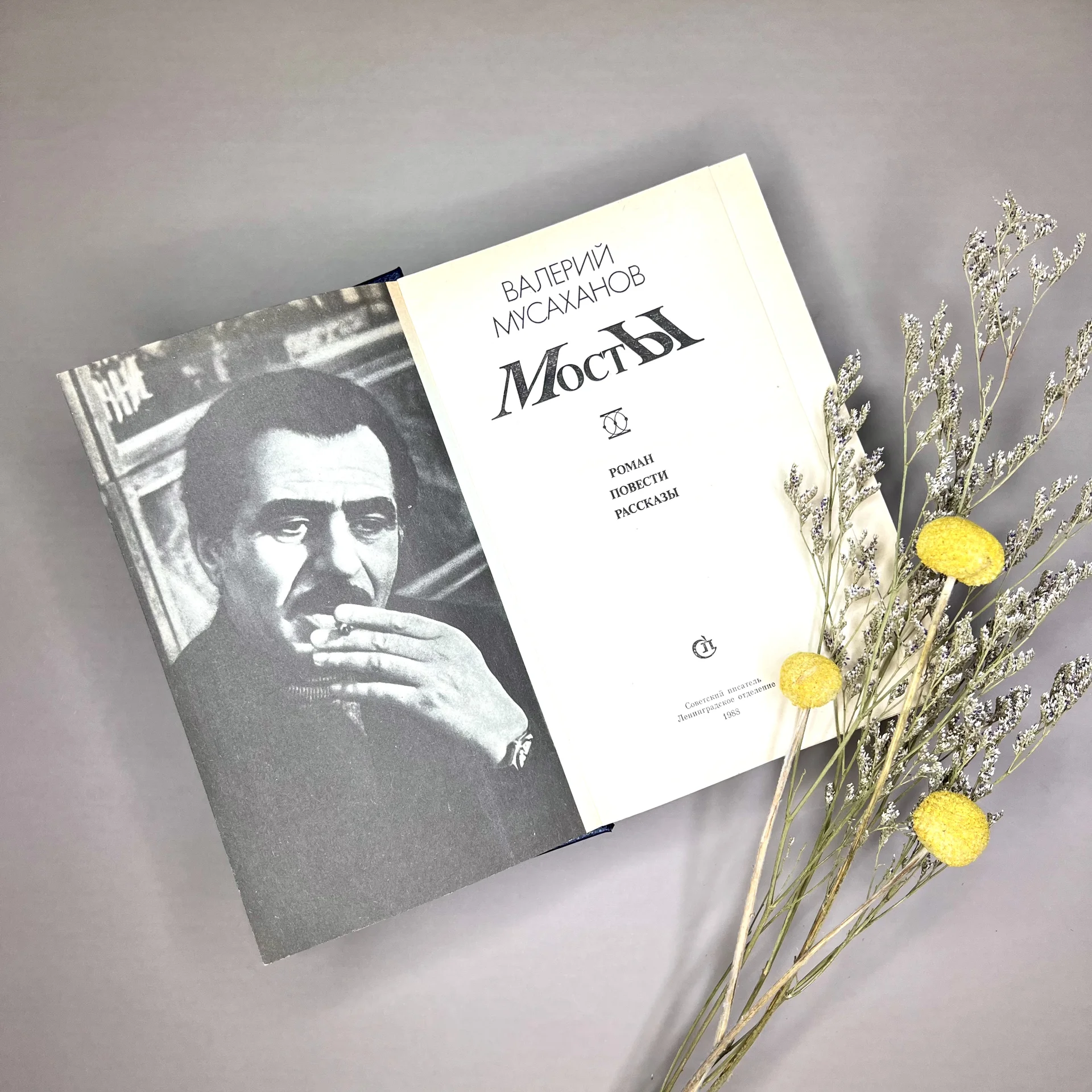 В.Мусаханов «Мосты» книга - миниатюра 3