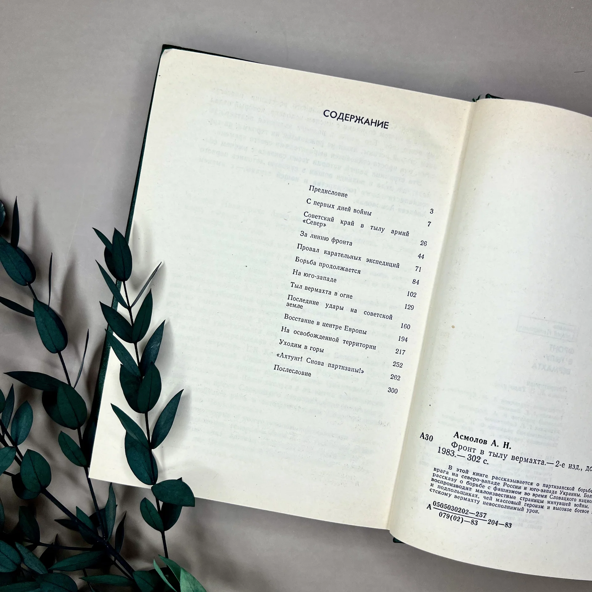 Книги о Великой Отечественной войне - миниатюра 7