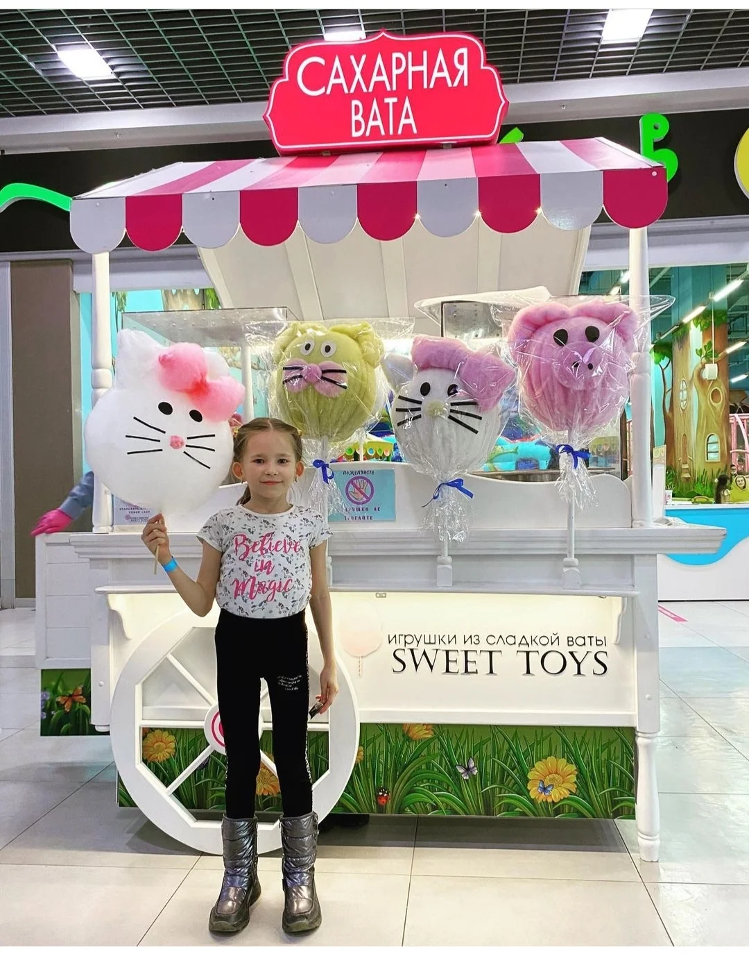 Франшиза SWEET TOYS - игрушки из сахарной ваты - миниатюра 5