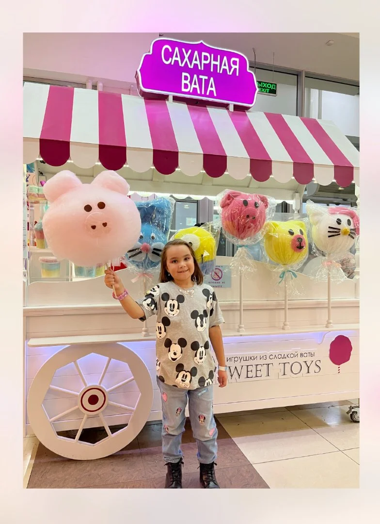 Франшиза SWEET TOYS - игрушки из сахарной ваты - миниатюра 4