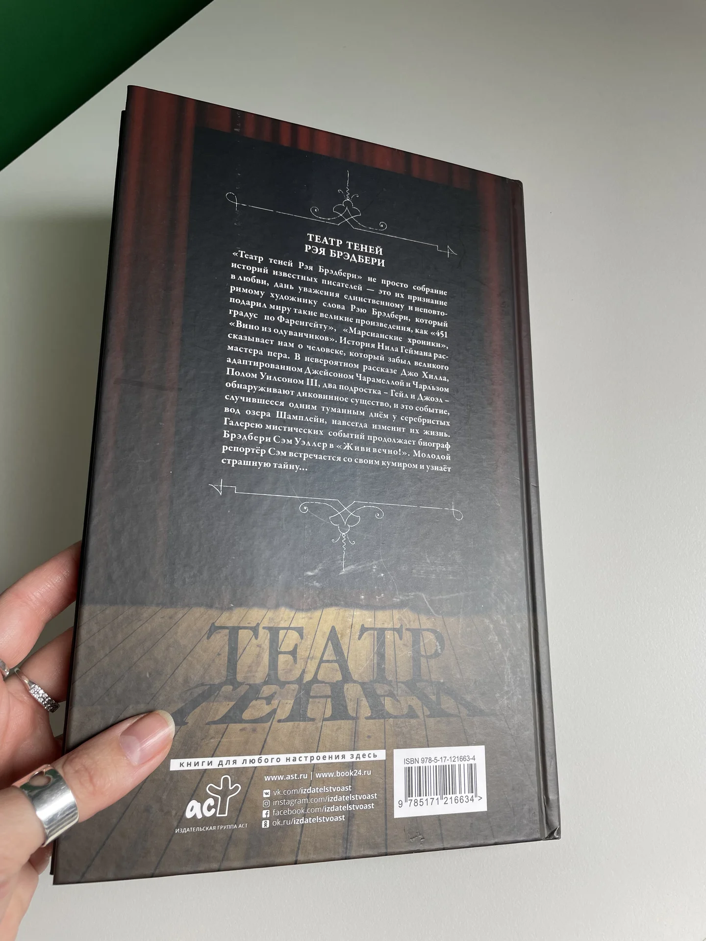 Графический роман "Театр теней Рэя Брэдбери" - миниатюра 2