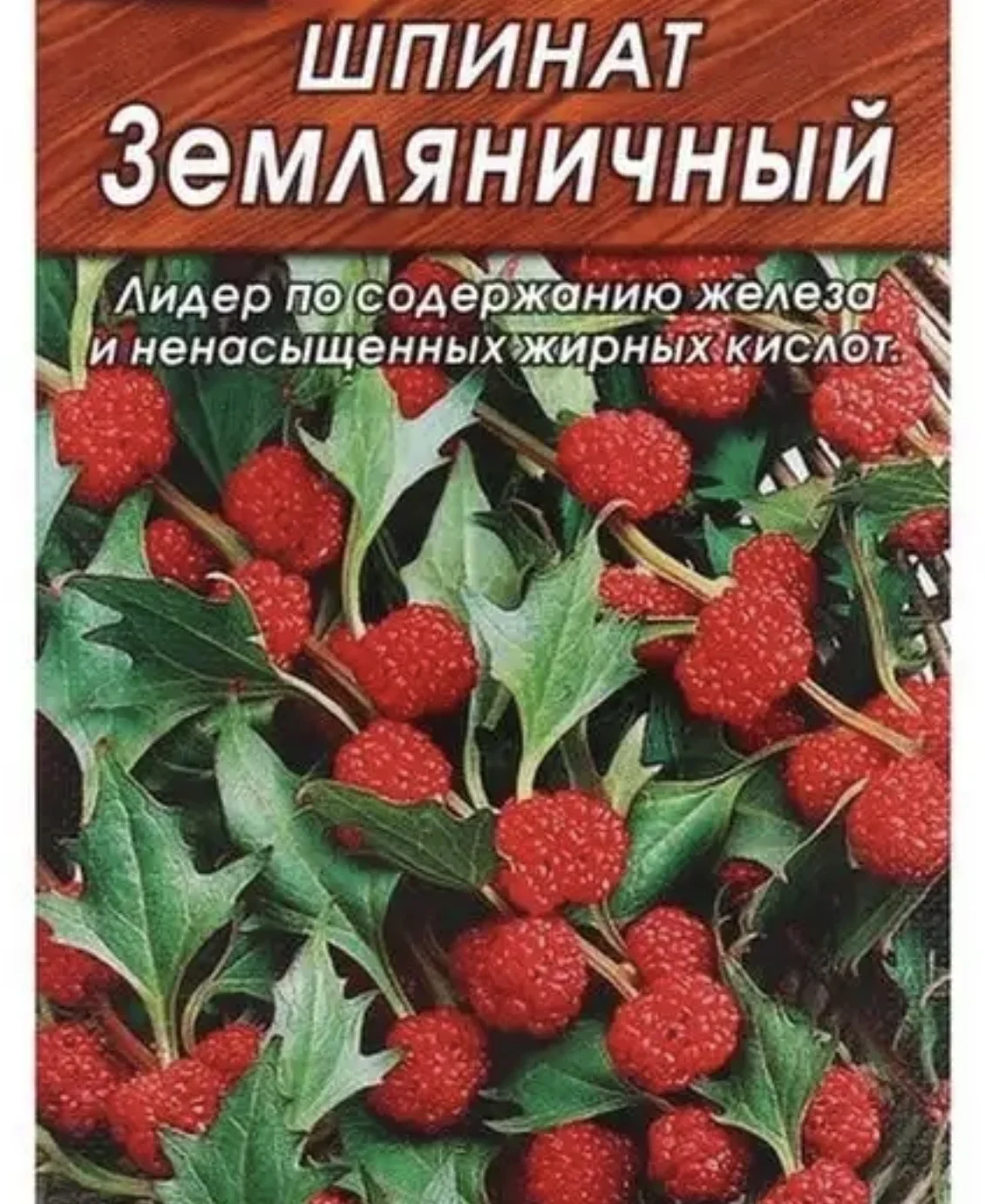 Растения цветущие и плодоносящие - миниатюра 2