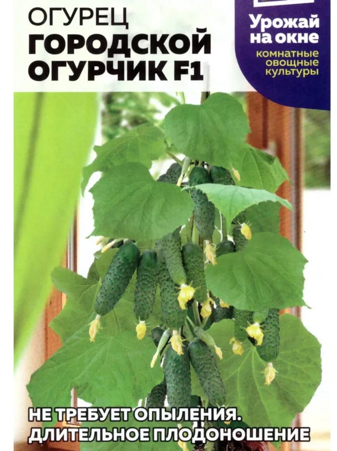 Растения цветущие и плодоносящие - миниатюра 4