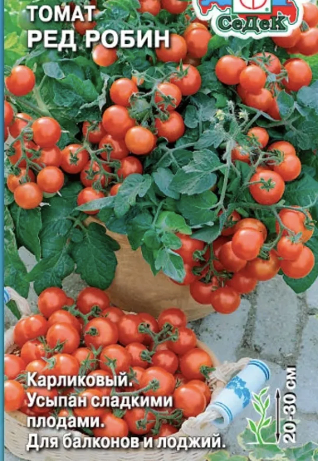 Растения цветущие и плодоносящие - миниатюра 7