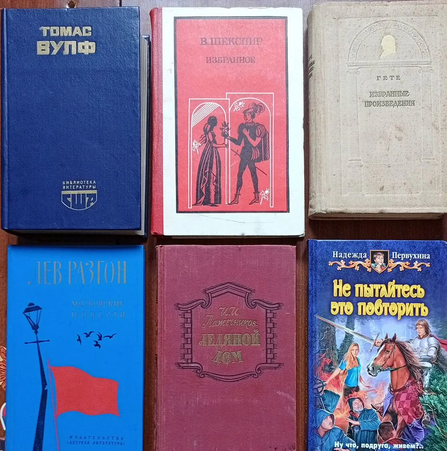 Книги российских и зарубежных писателей