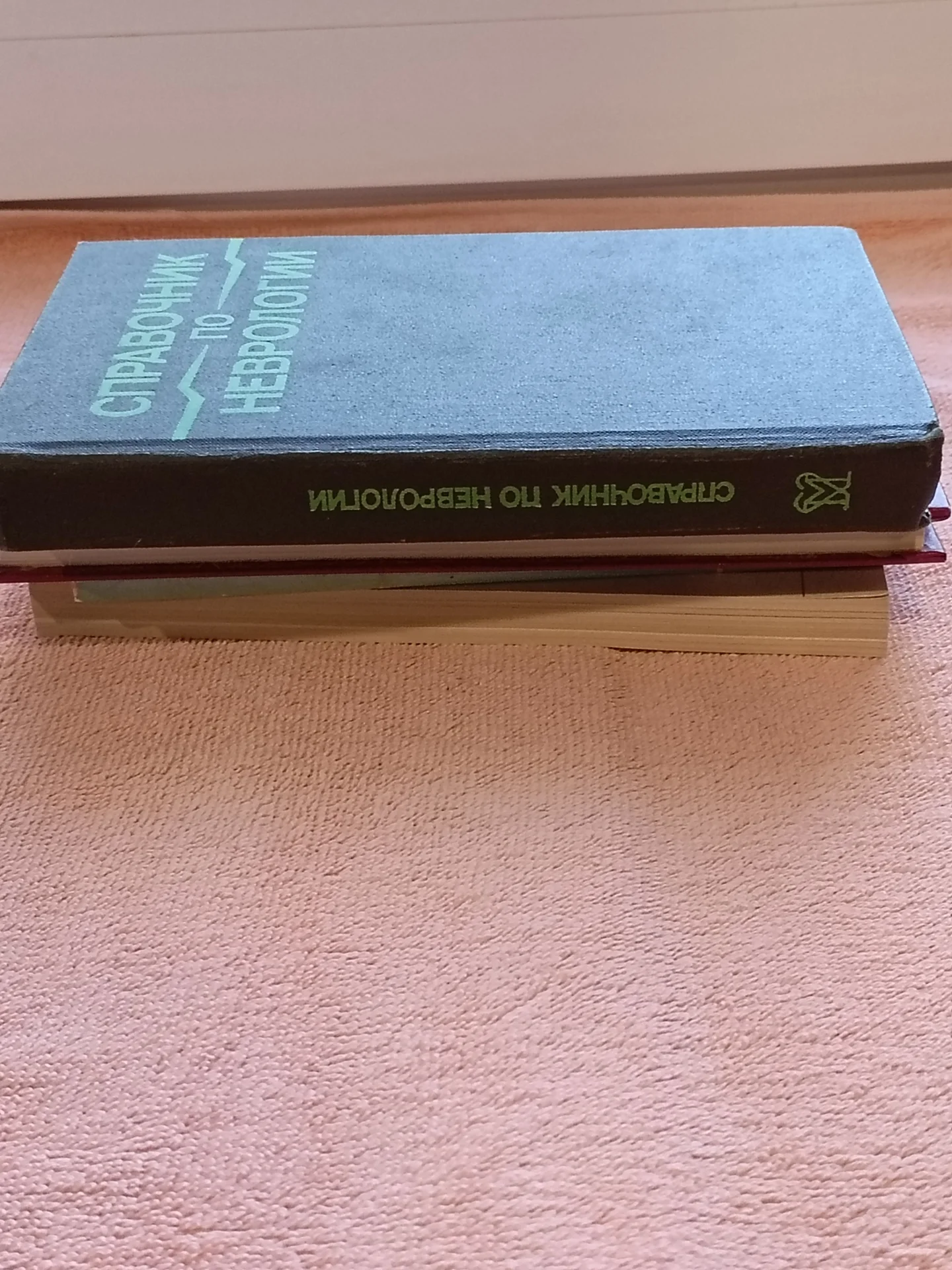 Справочник по неврологии - миниатюра 7